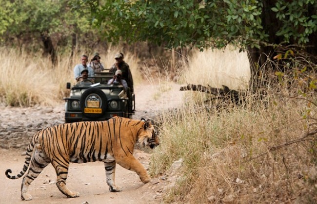 kanha national park